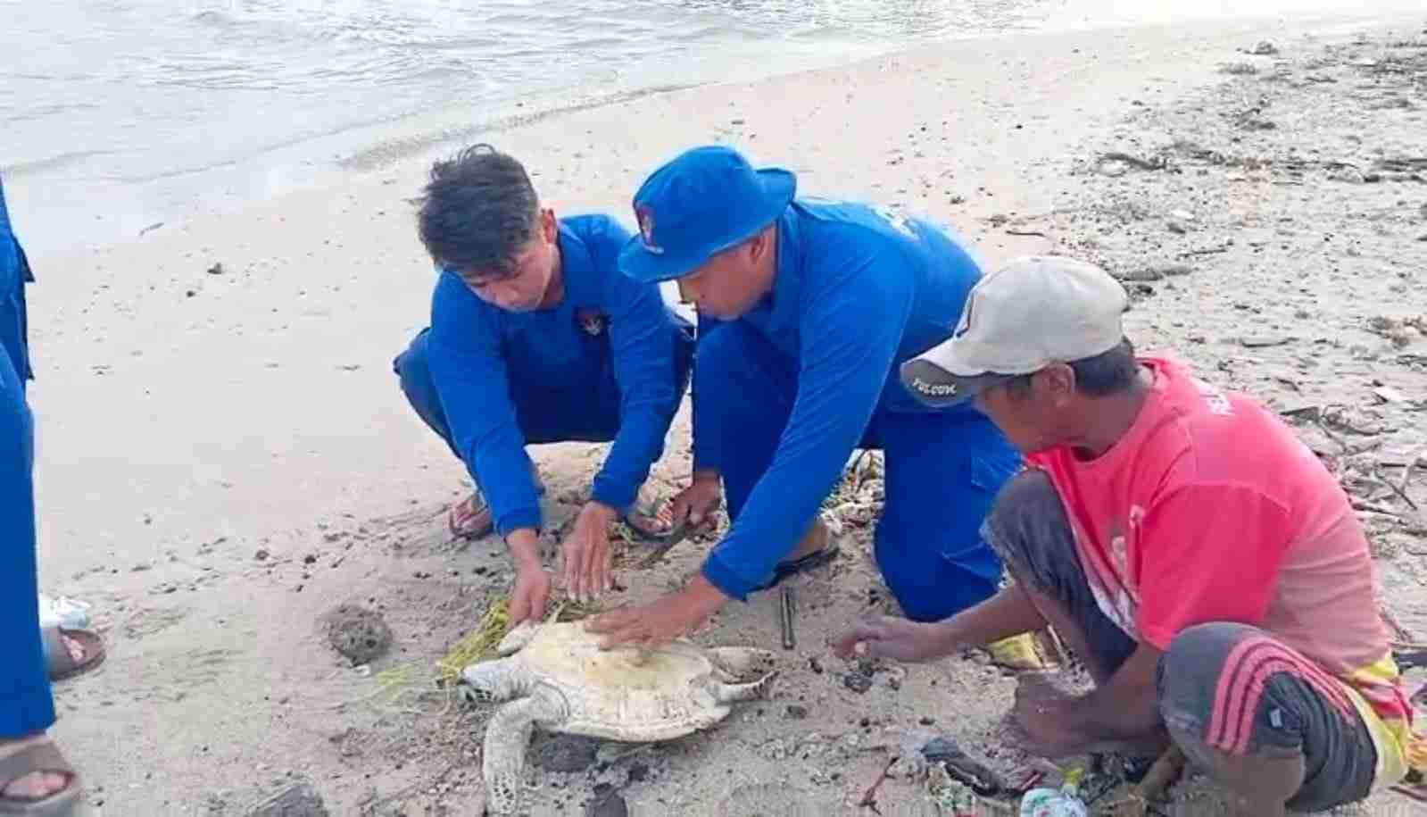 Ditpolairud Polda NTB Laksanakan Giat Bersih Pantai dan Selamatkan Penyu di Pantai Pasir Putih Maluk Sumbawa Barat .